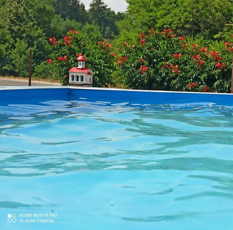 Guest House Vila Aleksa Bogutovac Esterno foto