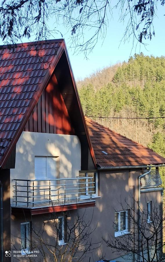 Guest House Vila Aleksa Bogutovac Esterno foto