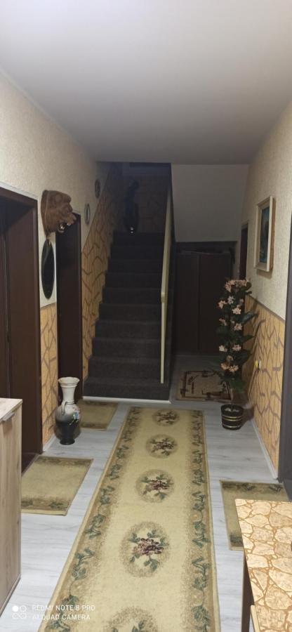 Guest House Vila Aleksa Bogutovac Esterno foto