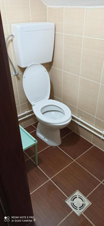 Guest House Vila Aleksa Bogutovac Esterno foto