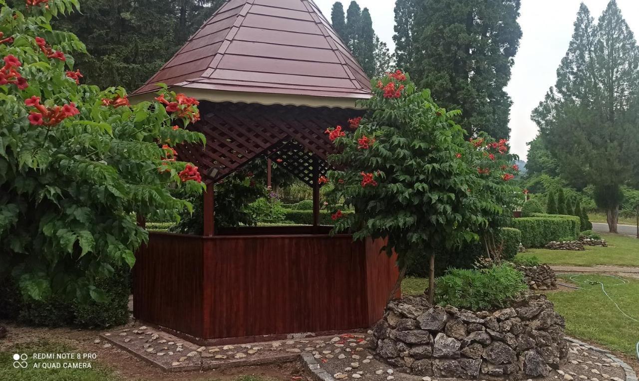 Guest House Vila Aleksa Bogutovac Esterno foto