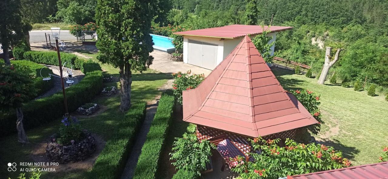 Guest House Vila Aleksa Bogutovac Esterno foto