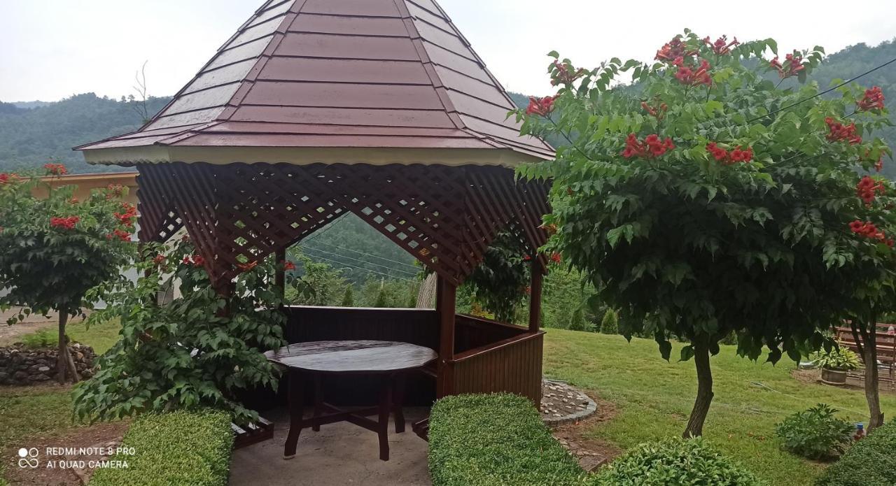 Guest House Vila Aleksa Bogutovac Esterno foto