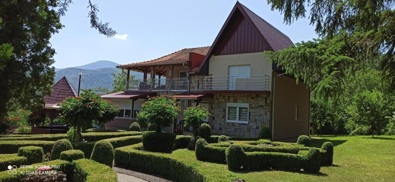 Guest House Vila Aleksa Bogutovac Esterno foto