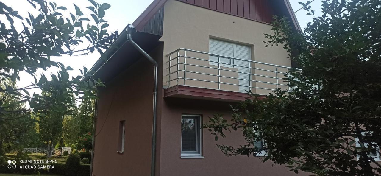 Guest House Vila Aleksa Bogutovac Esterno foto